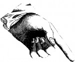 Gabriella D.